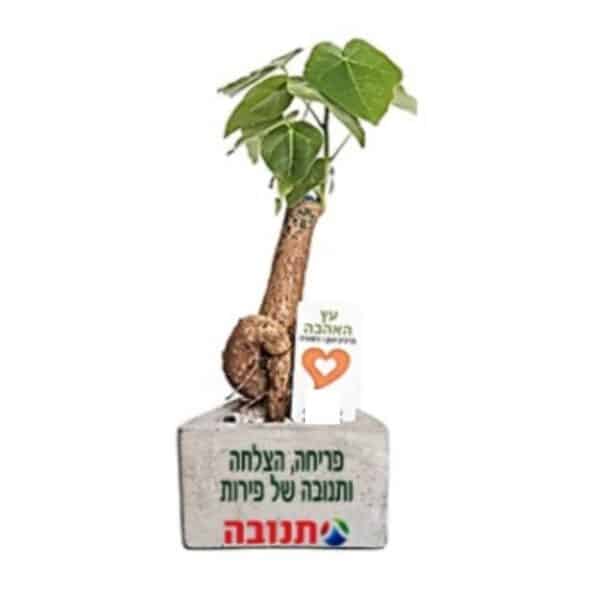 עץ האהבה עם לוגו חברה