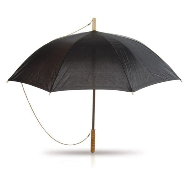 מטרייה עם מוט עץ
